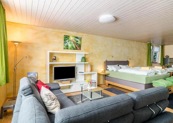 Grünspecht Apartamento Uberlingen